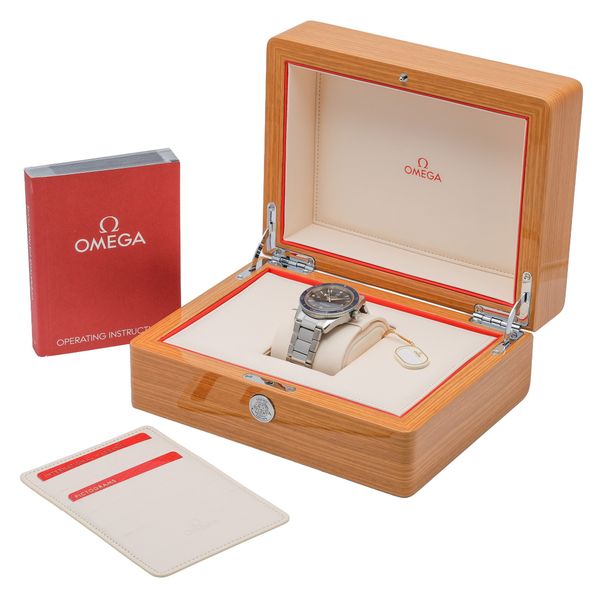 Omega Seamaster 300 233.90.41.21.03.001